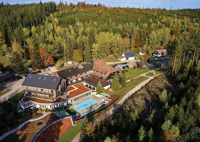 Hotel Restaurant Waldsaegmuehle Pfalzgrafenweiler